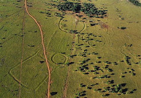  「青い影」の謎：古代ブラジル文明に眠る神秘的な表現